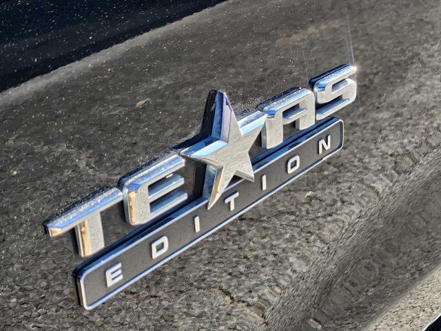 2022 Chevrolet Silverado 1500 Vehicle Photo in DENTON, TX 76210-9321