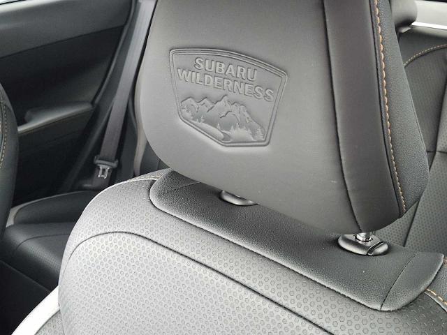 2025 Subaru Crosstrek Vehicle Photo in DALLAS, TX 75209
