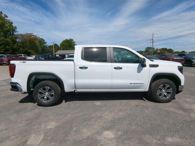 2024 GMC Sierra 1500 Vehicle Photo in ALBERTVILLE, AL 35950-0246