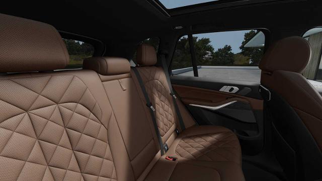2026 BMW X5 xDrive50e Vehicle Photo in GRAPEVINE, TX 76051