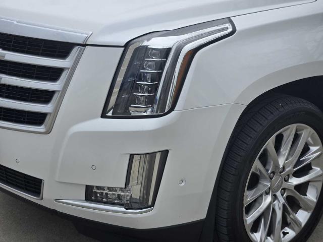 2020 Cadillac Escalade Vehicle Photo in DENTON, TX 76210-9321