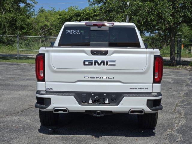 2023 GMC Sierra 1500 Vehicle Photo in Decatur, TX 76234