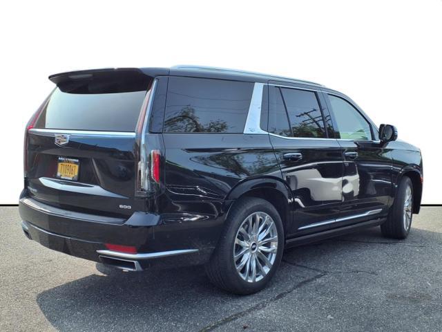 2023 Cadillac Escalade Vehicle Photo in SMITHTOWN, NY 11787-5023