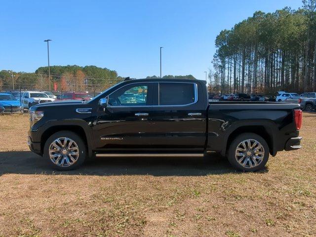 2025 GMC Sierra 1500 Vehicle Photo in ALBERTVILLE, AL 35950-0246