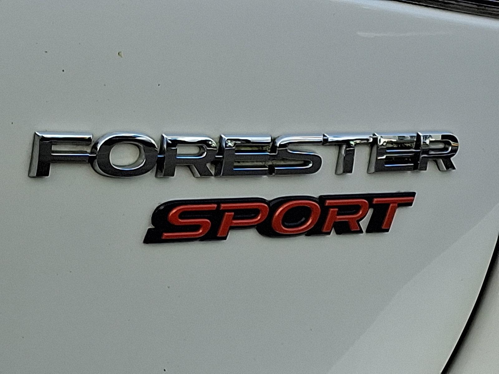 2019 Subaru Forester Vehicle Photo in Easton, PA 18045
