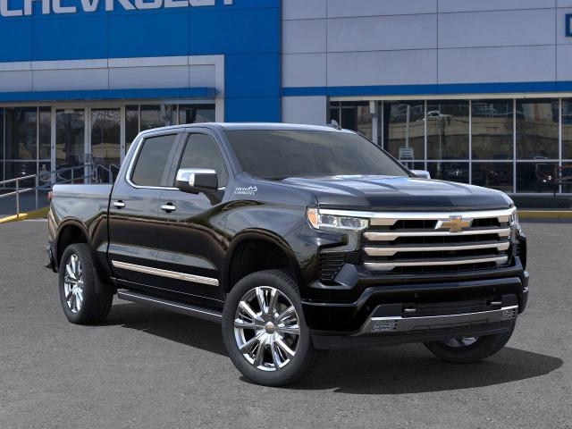 2025 Chevrolet Silverado 1500 Vehicle Photo in HOUSTON, TX 77054-4802