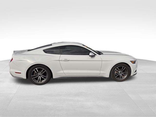 2017 Ford Mustang Vehicle Photo in DELRAY BEACH, FL 33483-3294