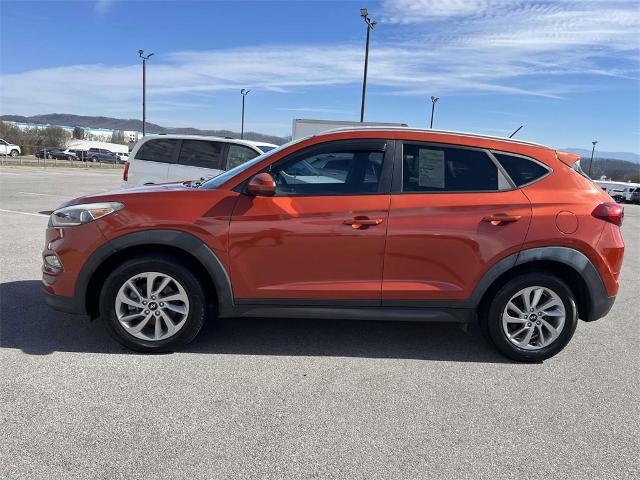 2023 Chevrolet Traverse Vehicle Photo in ALCOA, TN 37701-3235