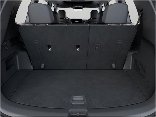 2025 Kia Telluride Vehicle Photo in Oshkosh, WI 54904