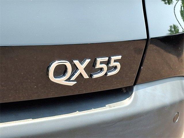 2022 INFINITI QX55 Vehicle Photo in Willow Grove, PA 19090