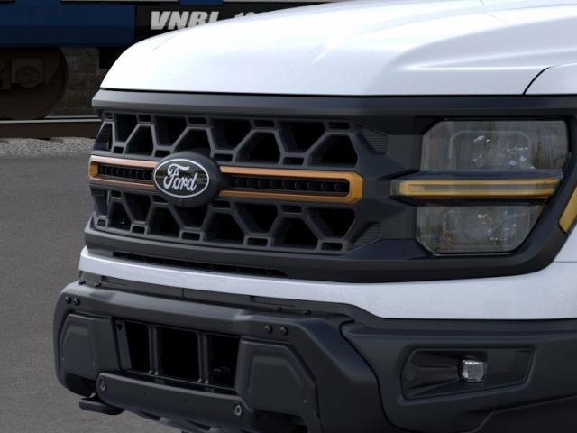 2025 Ford F-150 Vehicle Photo in Weatherford, TX 76087