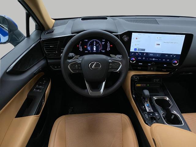 2023 Lexus NX 350 Vehicle Photo in Appleton, WI 54913