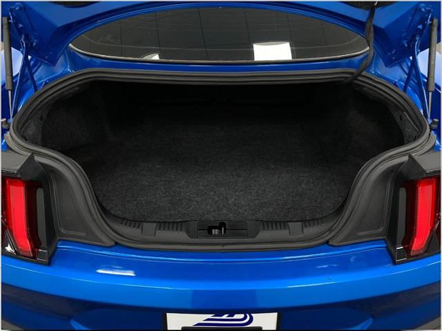 2019 Ford Mustang Vehicle Photo in Appleton, WI 54913