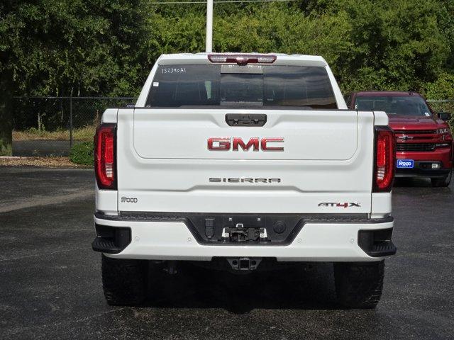 2023 GMC Sierra 1500 Vehicle Photo in Decatur, TX 76234
