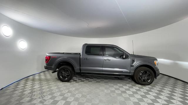 2022 Ford F-150 Vehicle Photo in GILBERT, AZ 85297-0402