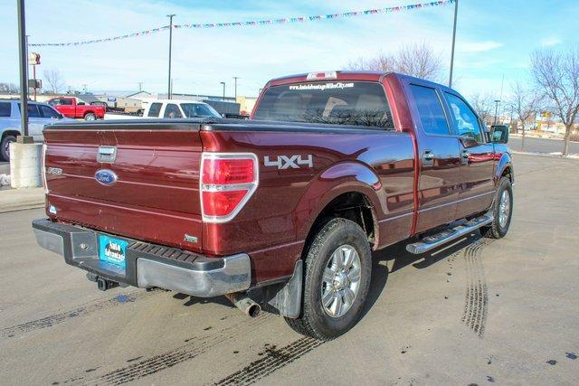 2010 Ford F150 Vehicle Photo in MILES CITY, MT 59301-5791