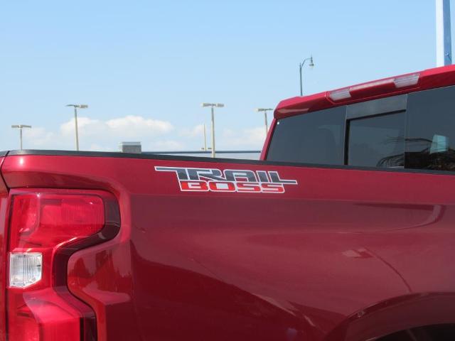 2025 Chevrolet Silverado 1500 Vehicle Photo in LEESBURG, FL 34788-4022