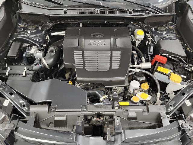 2024 Subaru Forester Vehicle Photo in Green Bay, WI 54304