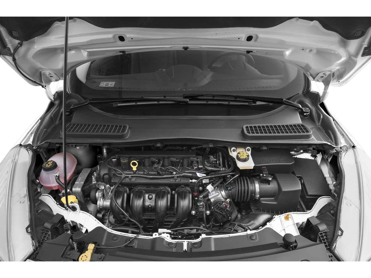 2019 Ford Escape Vehicle Photo in Green Bay, WI 54304