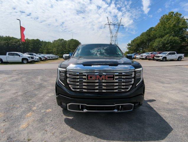 2025 GMC Sierra 1500 Vehicle Photo in ALBERTVILLE, AL 35950-0246