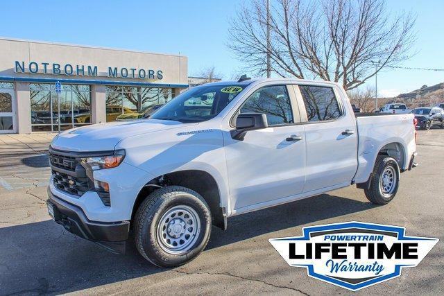 2025 Chevrolet Silverado 1500 Vehicle Photo in MILES CITY, MT 59301-5791