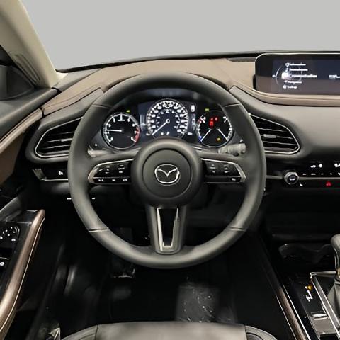 2025 Mazda CX-30 Vehicle Photo in Green Bay, WI 54304