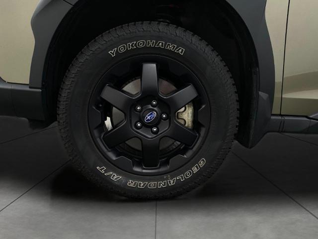 2024 Subaru Outback Vehicle Photo in Appleton, WI 54913