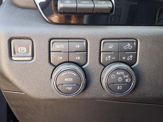 2025 Chevrolet Silverado 1500 Vehicle Photo in Denton, TX 76205