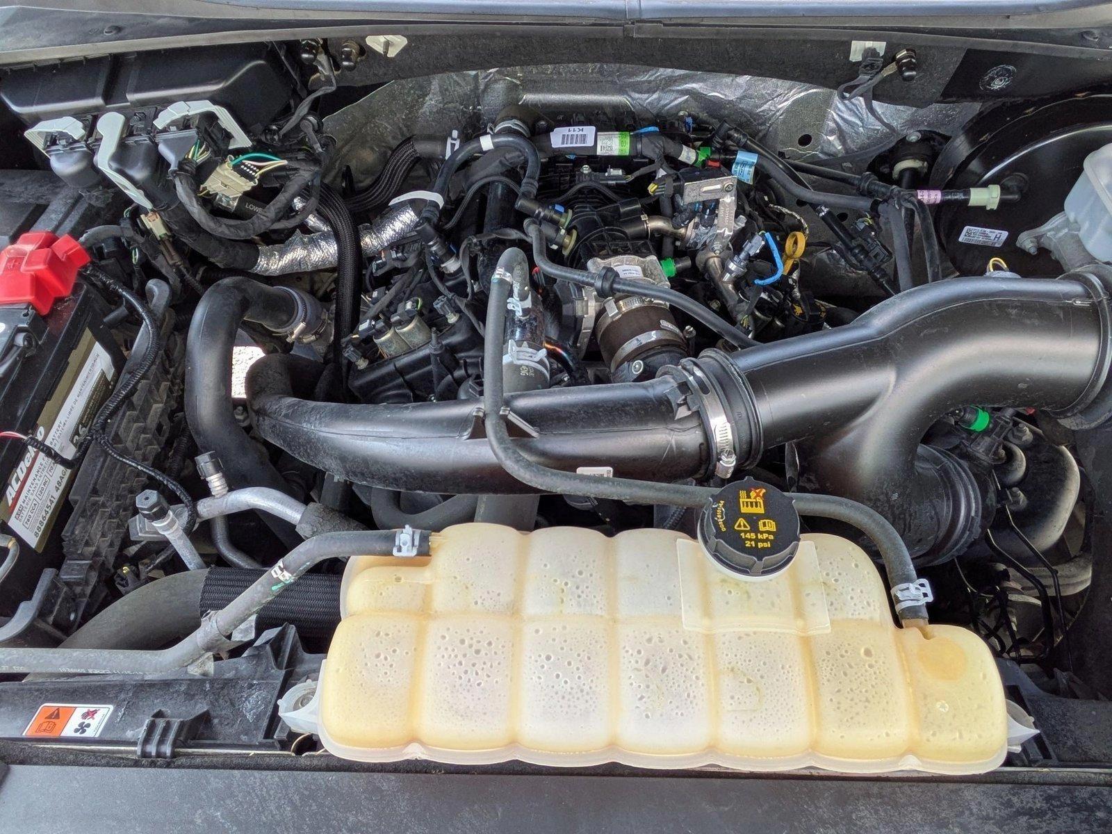2019 Ford F-150 Vehicle Photo in Panama City, FL 32401