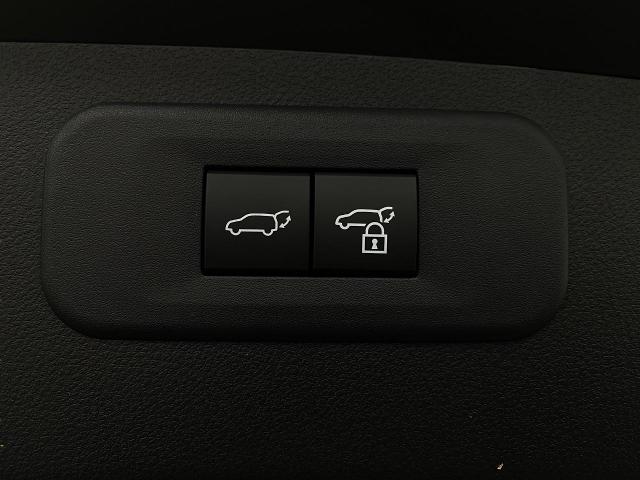 2025 Lexus NX 350 Vehicle Photo in Appleton, WI 54913
