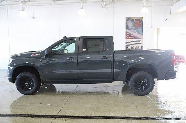 2025 Chevrolet Silverado 1500 Vehicle Photo in MEDINA, OH 44256-9001