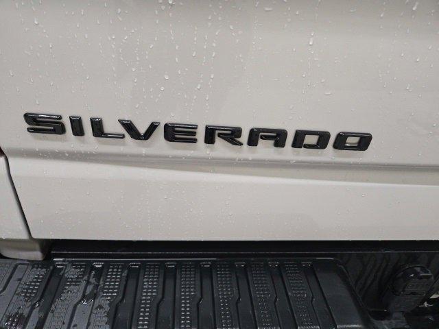 2020 Chevrolet Silverado 1500 Vehicle Photo in EVERETT, WA 98203-5662