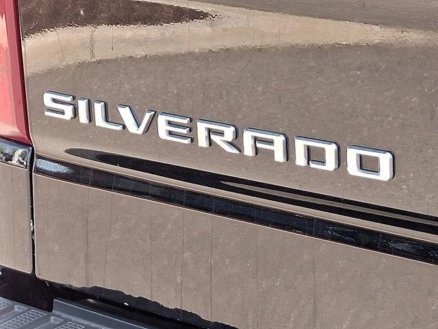 2023 Chevrolet Silverado 1500 Vehicle Photo in PAWLING, NY 12564-3219
