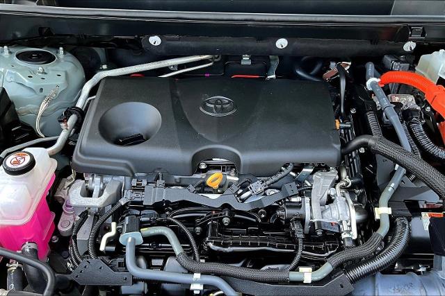 2021 Toyota RAV4 Vehicle Photo in San Antonio, TX 78230