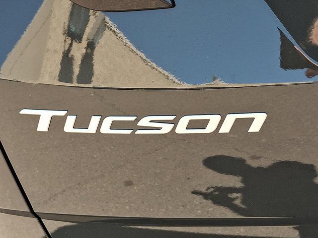 2025 Hyundai TUCSON Vehicle Photo in Philadelphia, PA 19116