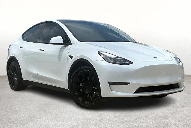 2021 Tesla Model Y Vehicle Photo in Houston, TX 77007