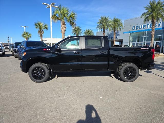 2025 Chevrolet Silverado 1500 Vehicle Photo in BROUSSARD, LA 70518-0000