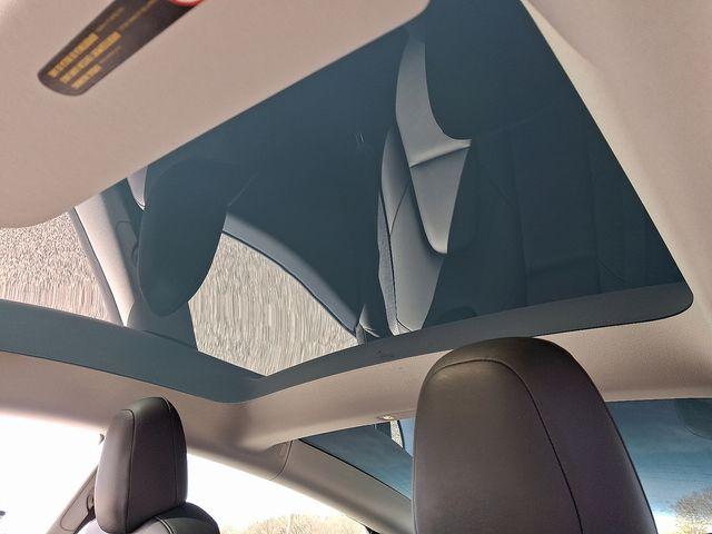 2023 Tesla Model 3 Vehicle Photo in DANBURY, CT 06810-5034