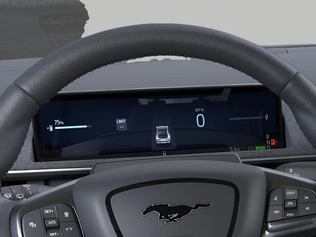 2025 Ford Mustang Mach-E Vehicle Photo in Oshkosh, WI 54901