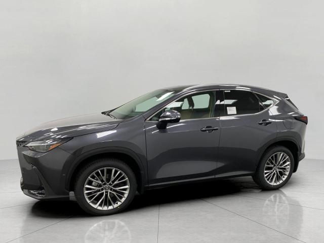 2025 Lexus NX 350h Vehicle Photo in Appleton, WI 54913