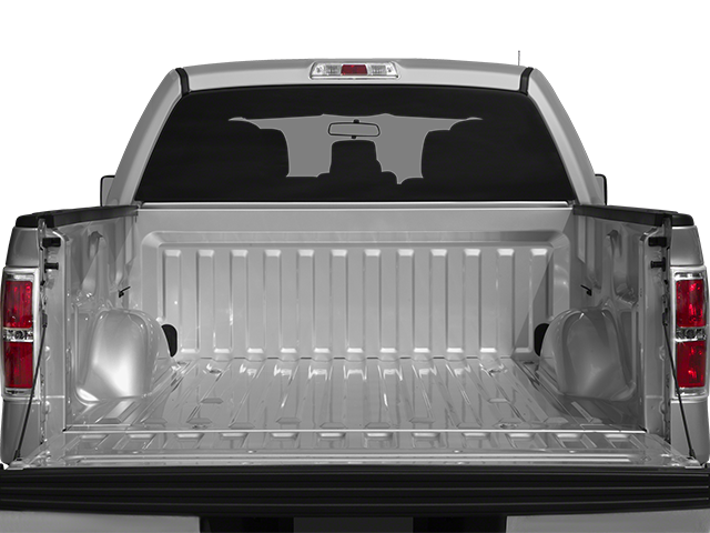 2014 Ford F-150 Vehicle Photo in San Antonio, TX 78230