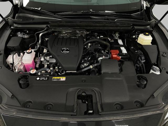 2024 Lexus RX 350 Vehicle Photo in Appleton, WI 54913