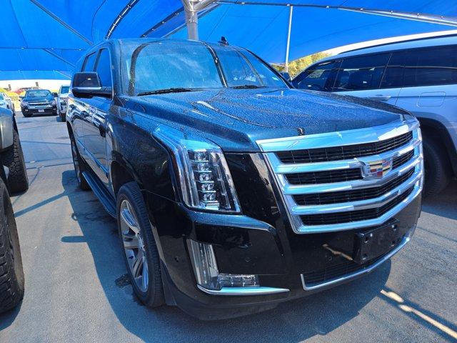 2017 Cadillac Escalade Vehicle Photo in Decatur, TX 76234
