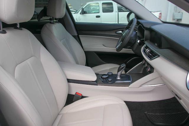 2019 Alfa Romeo Stelvio Vehicle Photo in SUGAR LAND, TX 77478