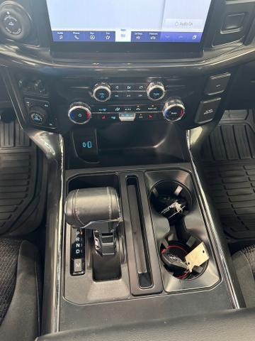 2023 Ford F-150 Vehicle Photo in Peoria, IL 61615