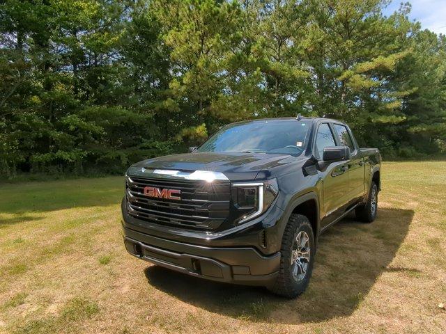 2024 GMC Sierra 1500 Vehicle Photo in ALBERTVILLE, AL 35950-0246