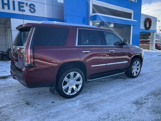 2017 Cadillac Escalade Vehicle Photo in MASSENA, NY 13662-2255