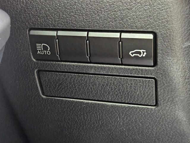 2019 Lexus NX 300 Vehicle Photo in FORT WORTH, TX 76132