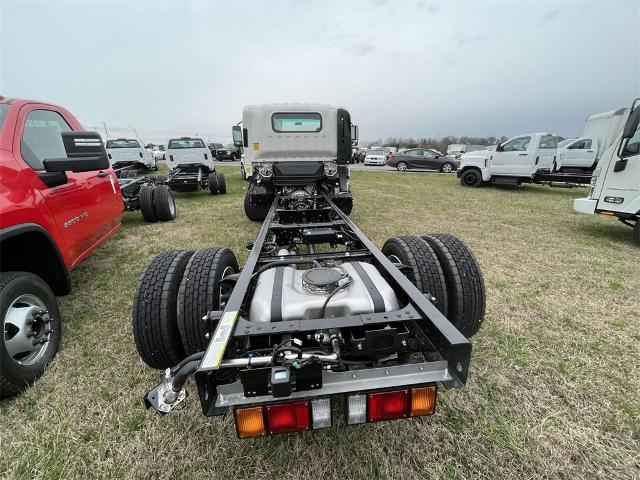 2025 Chevrolet Low Cab Forward 5500 HG Vehicle Photo in ALCOA, TN 37701-3235