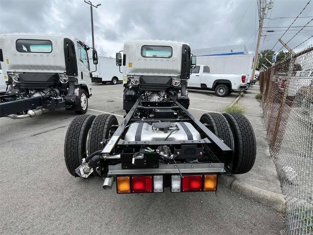 2025 Chevrolet Low Cab Forward 4500 Vehicle Photo in ALCOA, TN 37701-3235